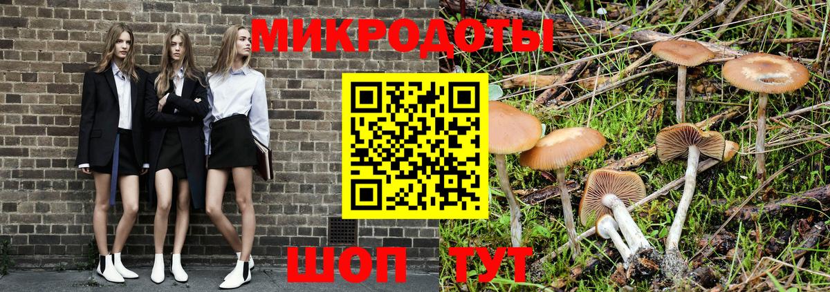 Псилоцибиновые грибы GOLDEN TEACHER Омск
