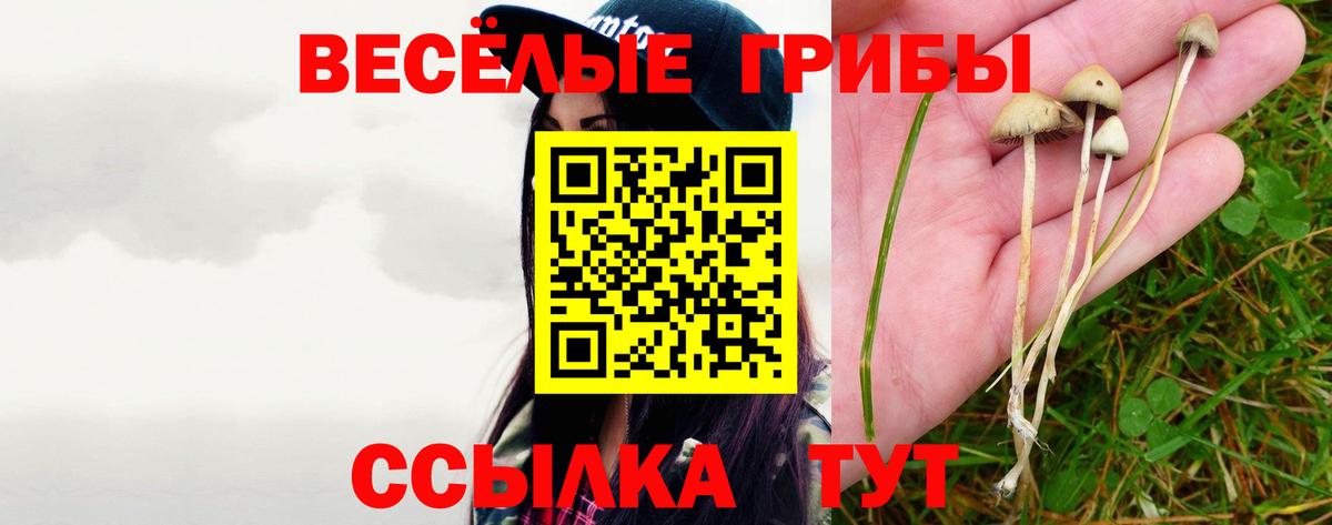 Омск  Галлюциногенные грибы GOLDEN TEACHER  Вход с VPN 